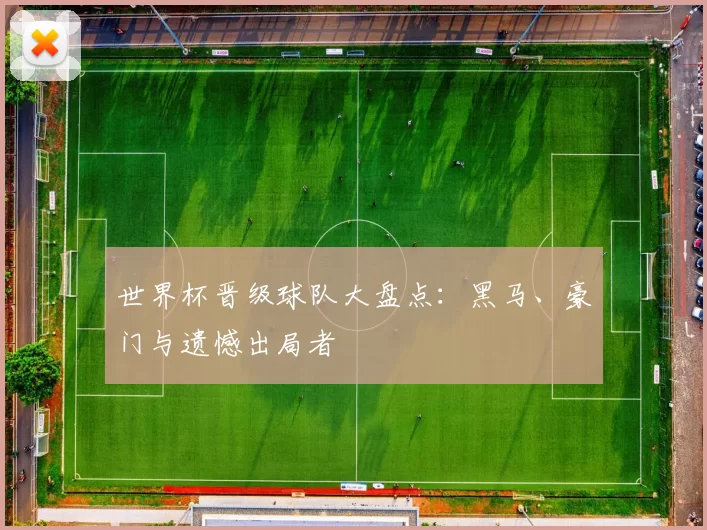 世界杯晋级球队大盘点:黑马、豪门与遗憾出局者