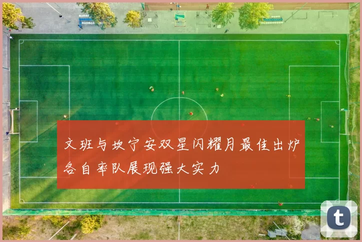 文班与坎宁安双星闪耀月最佳出炉各自率队展现强大实力