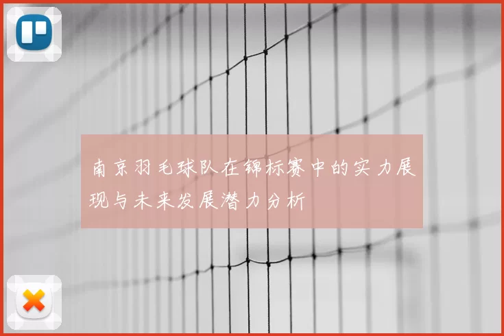 南京羽毛球队在锦标赛中的实力展现与未来发展潜力分析