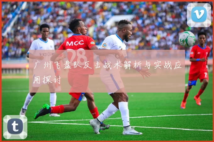 广州飞盘队反击战术解析与实战应用探讨