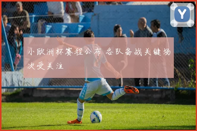 小欧洲杯赛程公布 各队备战关键场次受关注