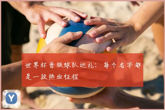 世界杯晋级球队巡礼:每个名字都是一段热血征程