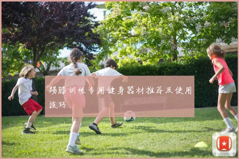 踢膝训练专用健身器材推荐及使用技巧