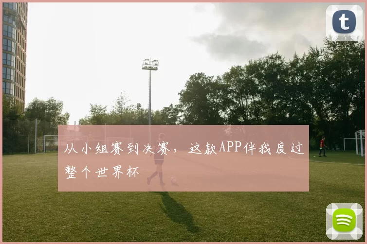 从小组赛到决赛,这款APP伴我度过整个世界杯