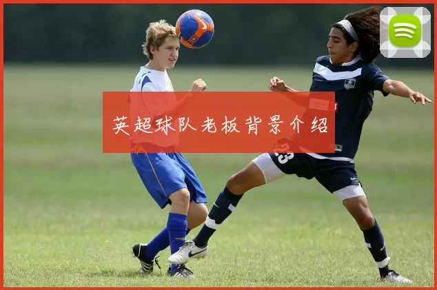 英超球队老板背景介绍