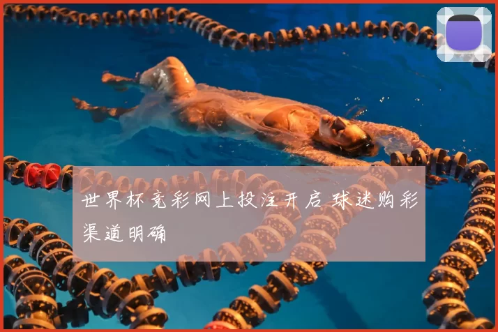 世界杯竞彩网上投注开启 球迷购彩渠道明确