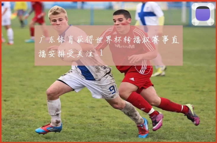 广东体育获得世界杯转播权赛事直播安排受关注_1