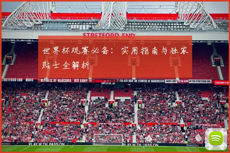 世界杯观赛必备：实用指南与独家贴士全解析