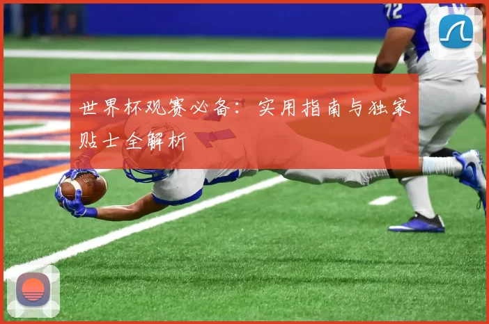 世界杯观赛必备：实用指南与独家贴士全解析