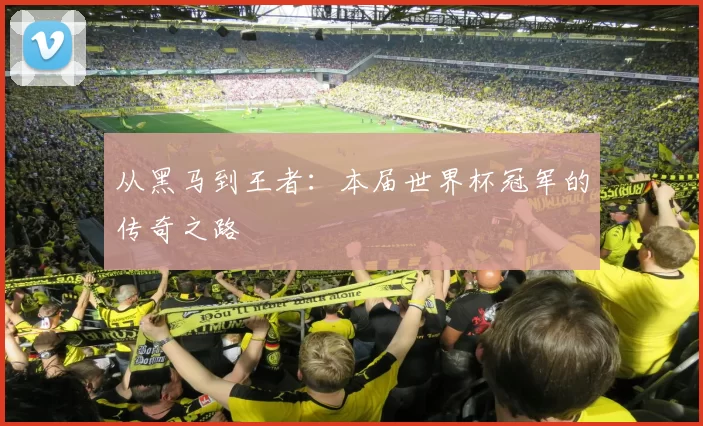 从黑马到王者:本届世界杯冠军的传奇之路