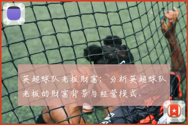 英超球队老板财富：分析英超球队老板的财富背景与经营模式。