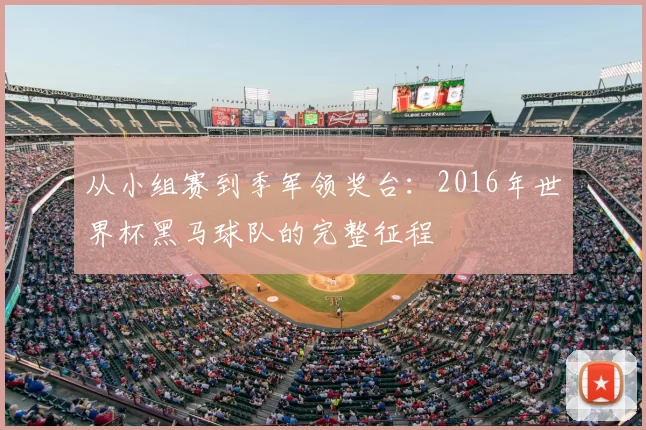 从小组赛到季军领奖台：2016年世界杯黑马球队的完整征程