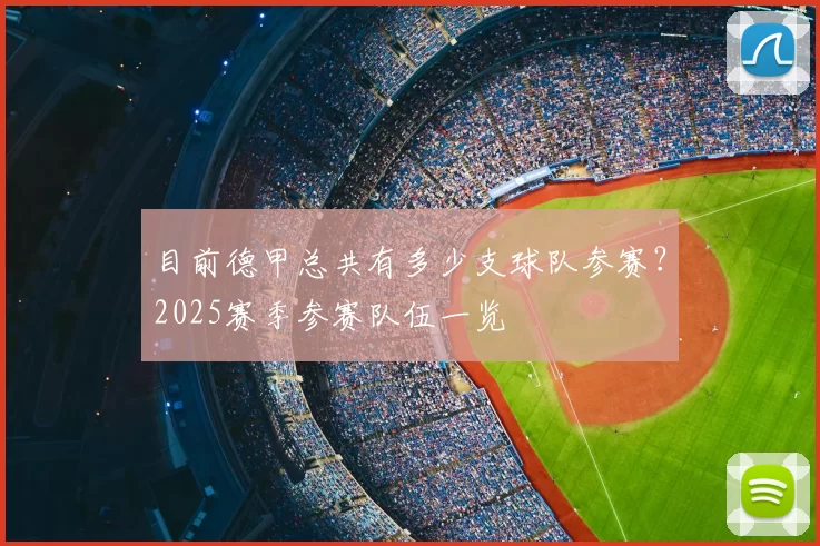 目前德甲总共有多少支球队参赛?2025赛季参赛队伍一览