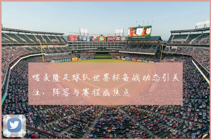 喀麦隆足球队世界杯备战动态引关注,阵容与赛程成焦点