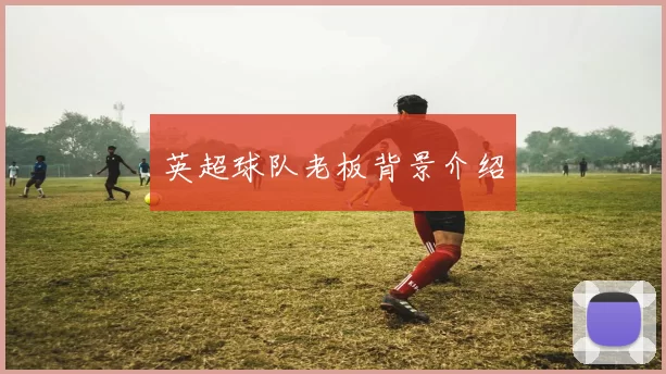 英超球队老板背景介绍